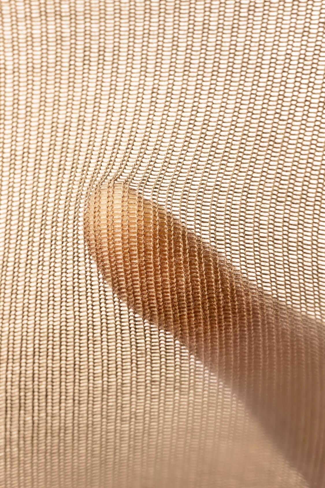 Calze unisex alla caviglia in cotone altamente elasticizzato (confezione da 4) EL039/EL041